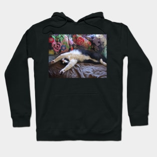 Funny Tuxedo Cat Sleeping Hoodie